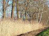 2011_004 