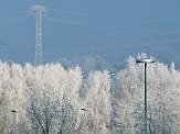 2011_006 