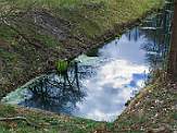 2012_006